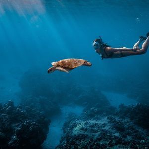 Meet your Posher, Josie